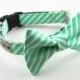 Mint Stripes Dog Bow Tie Collar