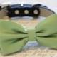 Grass Green Dog Bow tie with High Quality Black Leather Collar, Spring wedding dog accessory