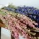 Bunch of larkspur, purple larkspur, pink larkspur, white larkspur, blue dried flowers, white dried flowers, pink dried flowers, pink flowers