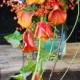 Bouquet & Boutonniere Inspiration