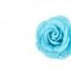 Blue Dog Collar Flower - Aqua Blue Small Felt Detachable Dog Flower