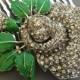 Decorative Hair Comb, Rhinestone Bridal Headpiece Crystal Comb, Wedding Accessories,Rose flower Green Bridal Jewelry, Wedding Hair Comb
