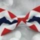 Patriotic Chevron Fourth of July Small Pet Dog Cat Bow / Bow Tie