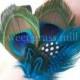 Peacock Corsage - AVEC MER - Peacock Teal Turquoise Polka Dot Feathers - Choose Brooch Corsage Headband