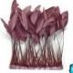 Eyelash Feathers, 1 Yard - TAUPE Stripped Coque Tail Feathers Wholesale (bulk) : 3923