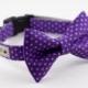 Purple Polka Dot Bowtie Dog Collar