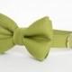 Dog Bow Tie Collar - Okra Green Gentleman's Collar