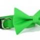 Wedding dog collar-Green  Dog Collar with bow tie set  (Mini,X-Small,Small,Medium ,Large or X-Large Size)- Adjustable