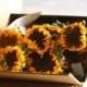 Dried sunflower bundle 