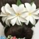 3 Tiare Tahitian Gardenia Hair Clip For Hawaiian, Polynesian Hula Dancer, Wedding, Beach Party Hair Accessories, Hand Made