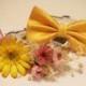 Yellow Wedding Dog Collars -Two Chic Wedding Dog Collars, Yellow dog bowtie and Floral Dog Collar