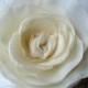 Ivory Vanilla Cream Wedding Hair Flower, Ivory Hair Fascinator, Bridal Hair Accessory, Hair Clip