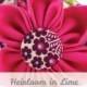 Pink Dog Collar Flower - Heirloom in Lime