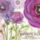 Watercolor purple lavender ranunculus flowers, hand painted, bouquet florals, clip art, wedding invitation, buttercups, party stationery