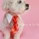 Dog tie and shirt collar-  checkered tie- gingham tie- wedding dog clothing- formal wear for dogs