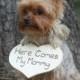 Puppy Sign Here Comes my Mommy Dog, Flower Girl, Ring Bearer Sign Rustic Wedding