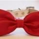 Red Dog Bow tie, Valentine's Day Gift, Dog Lovers, Red Dog Bow, Pet wedding Accessory, Love Red