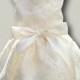 Dog Wedding Dress, Ivory and Bridal Lace