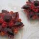 Ruby red rhinestone flower shoe clips