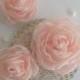 Coral Pink Blush Flowers Roses in handmade, Vintage Weddings, Bridal Bridesmaids Hair Shoe Clip Accessory, Veil fascinator, Flower girls set