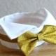 Gold and white dog bow tie collar, dog tuxedo collar, gold wing tip dog bowtie, wingtip collar dog wedding bow tie -More Colors Available