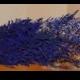 Preserved Gorgeous Deep Blue Caspia for Dried Florals or Wedding Bouquet - Large Bunch