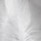 150+ GOOSE SHOULDER, dyed white, feathers, soft and flexible, bulk, wholesaleper, per 1 strung foot