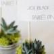 Do It Yourself Eco Friendly Succulent Place Cards