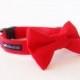 Classic Dog Collar Bow Tie Set Red