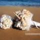 Ramo boda en la playa