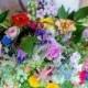 A Homemade And Colourful Wild Meadow Summer Wedding