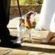 "Man's Best Friends" - Gorgeous 'Dog In Wedding' Pictures From Elizabeth Anne Designs