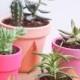 DIY Terra-Cotta Pot Roundup- 15 Ideas To Paint Your Own Pot