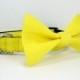 Wedding dog collar-Yellow Dog Collar with bow tie set  (Mini,X-Small,Small,Medium ,Large or X-Large Size)- Adjustable