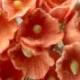3 Bouquets Vintage  Flocked Millinery Flowers Forget Me Nots -  Tangerine - Hat Flowers - Doll Flowers - Easter Basket Flowers
