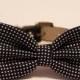Black Dog Bow Tie , Cute Dog Bowtie- with high quality Black leather collar, Polka dots dog bow tie