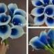9pcs ~ 36pcs Natural Real Touch Royal Blue Picasso Calla Lily Stems for Wedding Bridal Bouquets, Centerpieces, Decorations