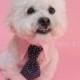 Dog tie and shirt collar-  navy blue polka dot tie- pink collar- wedding- dog clothing- formal wear for dogs