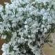 30 pcs Silk Babys breath For Bridal Bouquet Flowers White Babysbreath Wedding Decorative Flowers Home Decor