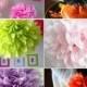 Color Samples - Tissue Paper Pom Poms