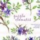 Digital Watercolor Purple Clematis Bouquets (5) Graphic Clip Art 300 dpi in JPG and PNG Commercial Use