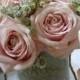 ♥ Beautiful  Roses And Flowers♥
