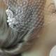 Bridal Veil and Bridal Comb, Bandeau Birdcage Veil, Bird Cage Veil With Ivory Pearl and Rhinestone Fascinator Comb - JOHANNA