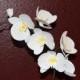 Paper Phalaenopsis  Orchid ,Moth orchid,  White - Crepe Paper flowers- Orchid wedding bouquet