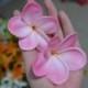 Natural Real Touch Pink Artificial Silk frangipani flower heads for cake decoration