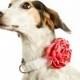 Wedding Dog Collar Flower - Coral Satin