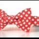 Red Polka Dot Bow Tie Dog Collar Christmas Collar Valentine's Collar Wedding Accessories Made to Order