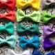 Dog bow tie Pet Bowtie cat Collar Bow ties Puppy Bowtie Kitten Accessories Easy to use Collar BePrettyBeBold Wedding Ring Bearer Outfit Blue