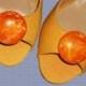 Vintage Shoe Clips - Orange Bubbles Plastic Shoe Accessories