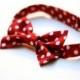White and red polka dot bow tie Infant bow tie for toddler Mens red bowtie Ring bearer bow tie Blue wedding accessories Groomsmens bow tie